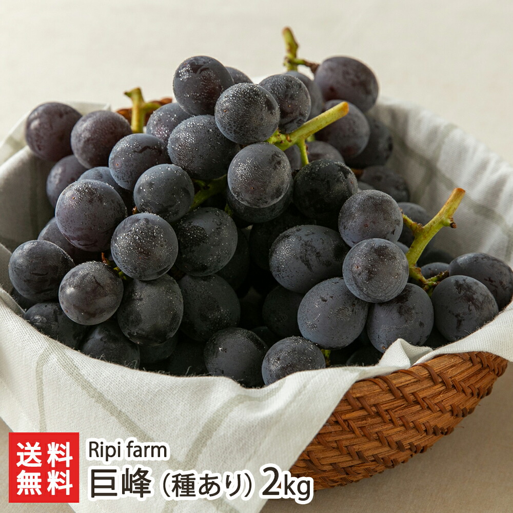 楽天市場】巨峰（種あり） Ripi farm【代金引換決済不可】【リピ