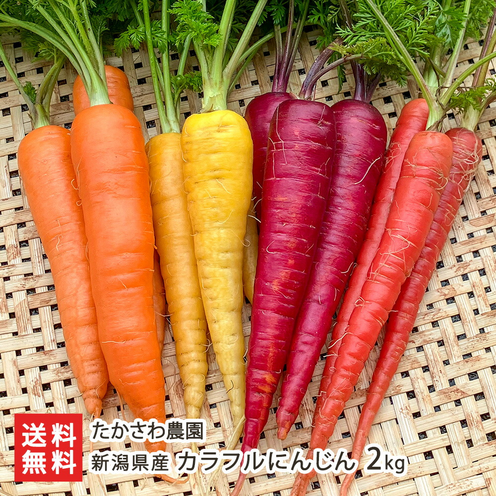 楽天市場】新潟県産 カラフルにんじん（オレンジ・赤・黄・紫にんじん