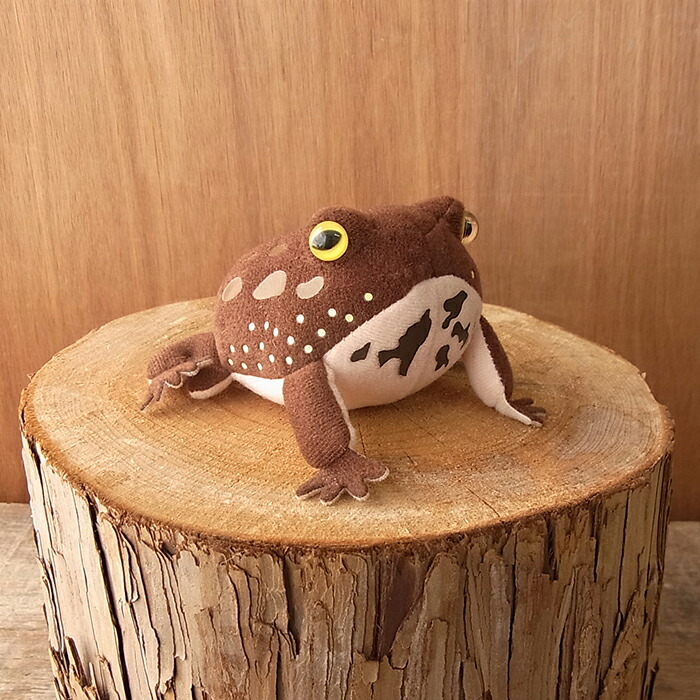 楽天市場】【TST Frog magnet アメフクラガエル マグネット ぬいぐるみ