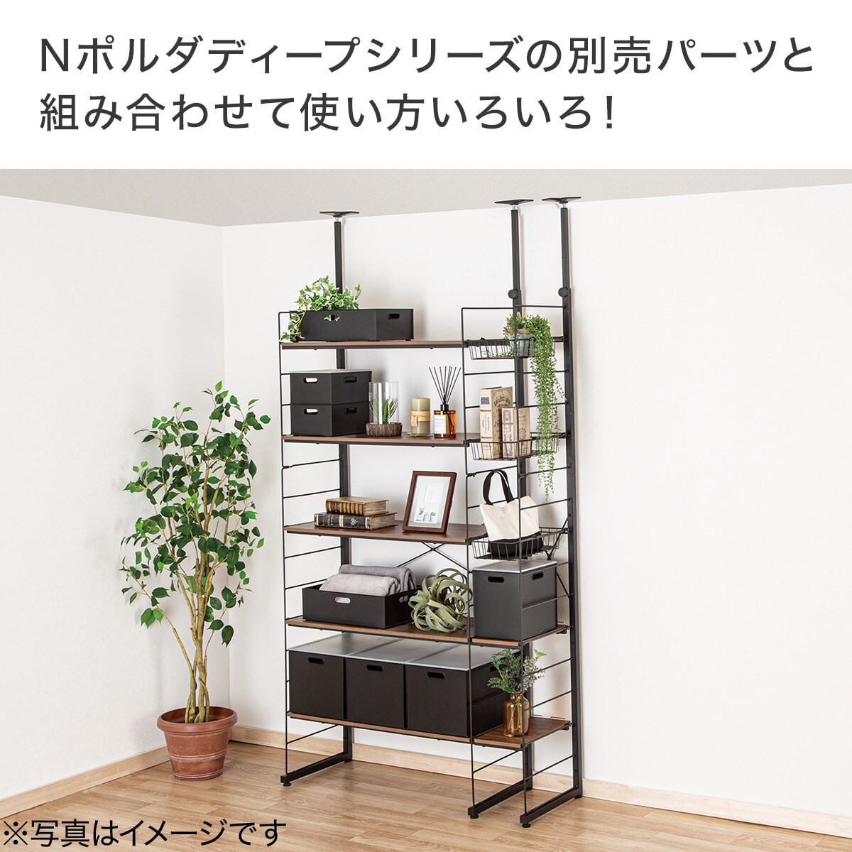 楽天市場】Nポルダディープ すき間収納 (幅23cm) ニトリ 【玄関先迄