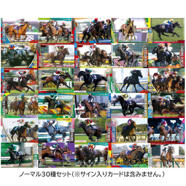 楽天市場】【送料無料】サラブレッドホースコレクション ツイン