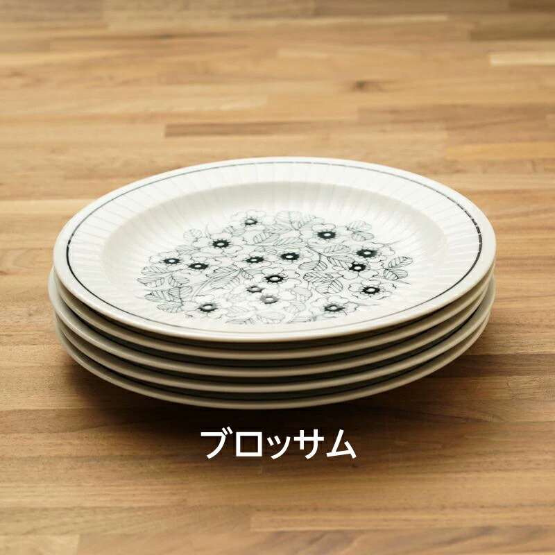 楽天市場】パスタプレート 5枚 大皿 食器セット 送料無料 24cm