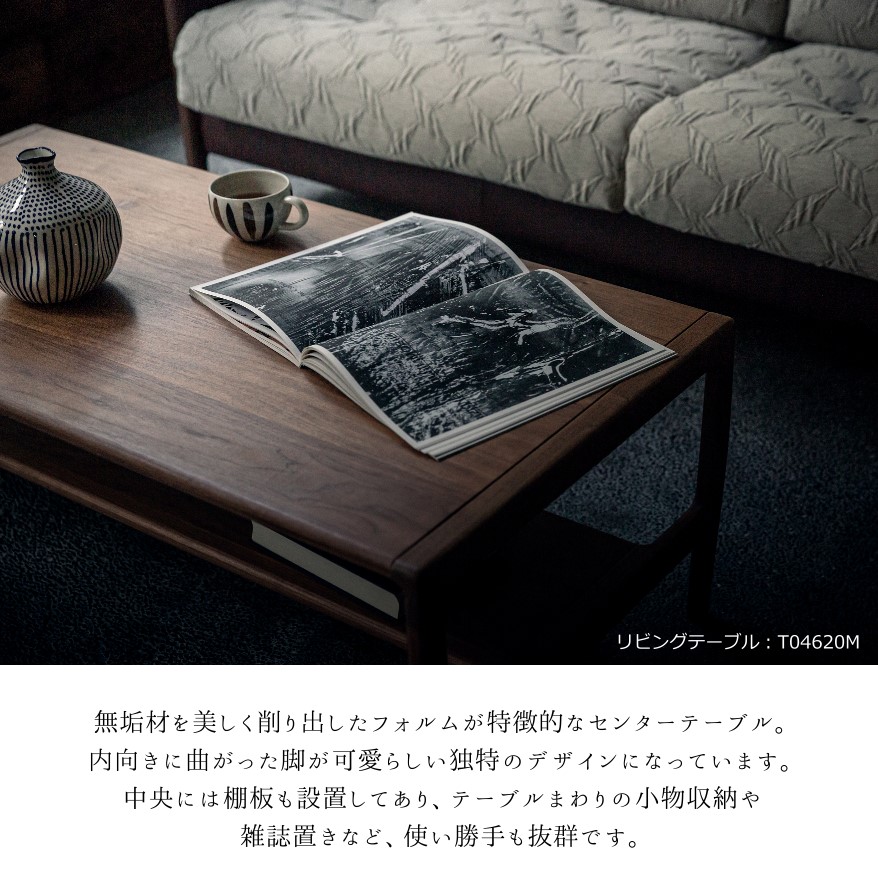 t04620-3.jpg