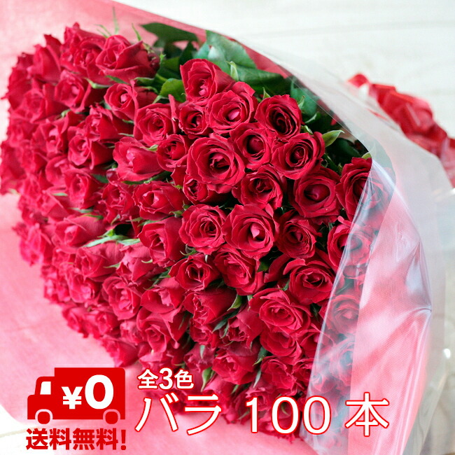 楽天市場】カーネーション 100本の通販