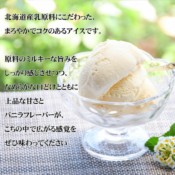 楽天市場】アイスクリーム 業務用 業務用アイス アイス 2L バニラ 明治