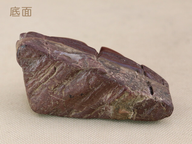 楽天市場】【水石】 仁淀川 鎧石 （高知） ミニ 天然 【自然石 鑑賞石
