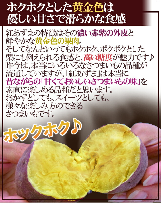 楽天市場】千葉・茨城県産 ”紅あずま” Mサイズ 約5kg さつまいも【予約