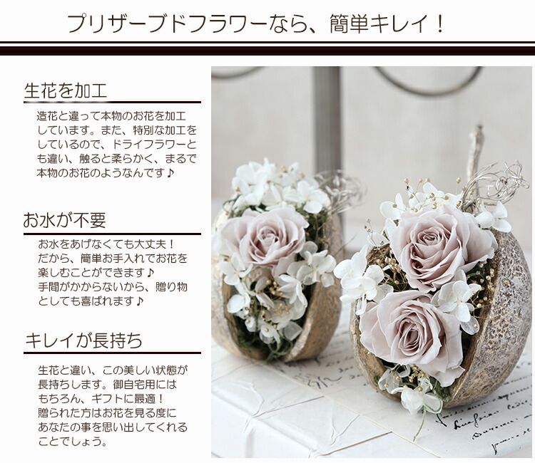 楽天市場】【全2色】ローズナッツ《2個セット》 花雑貨 プリザーブド