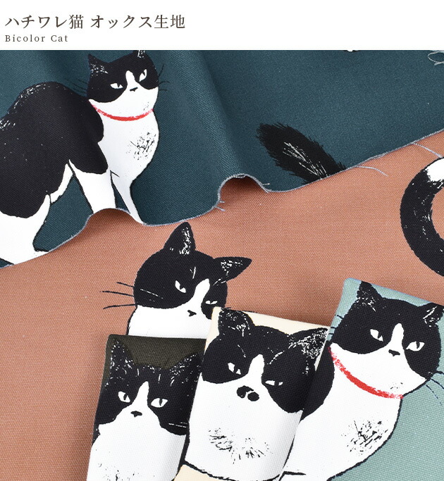 楽天市場】オックス 生地 ハチワレ 猫 □ ねこ ネコ 入園 入学 動物