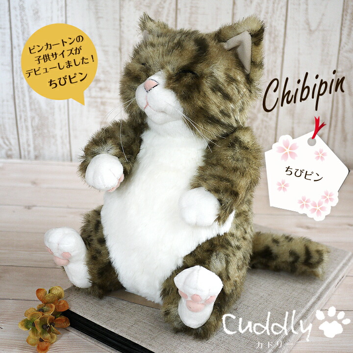 楽天市場】Cuddly (カドリー）ムッシュ 【ぬいぐるみ】【送料無料