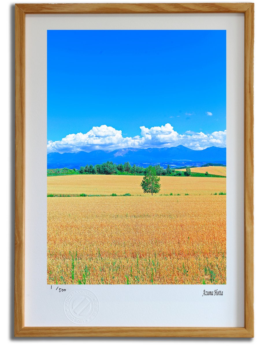 楽天市場】版画 絵画 北海道の田園風景001 美瑛/インテリア 額入り