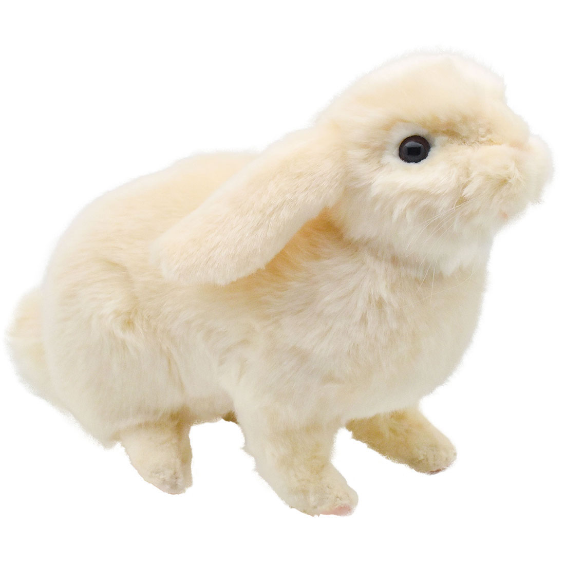 楽天市場】HANSA 7024 ホーランド・ロップ35 全長：35cm LOPEARBUNNY