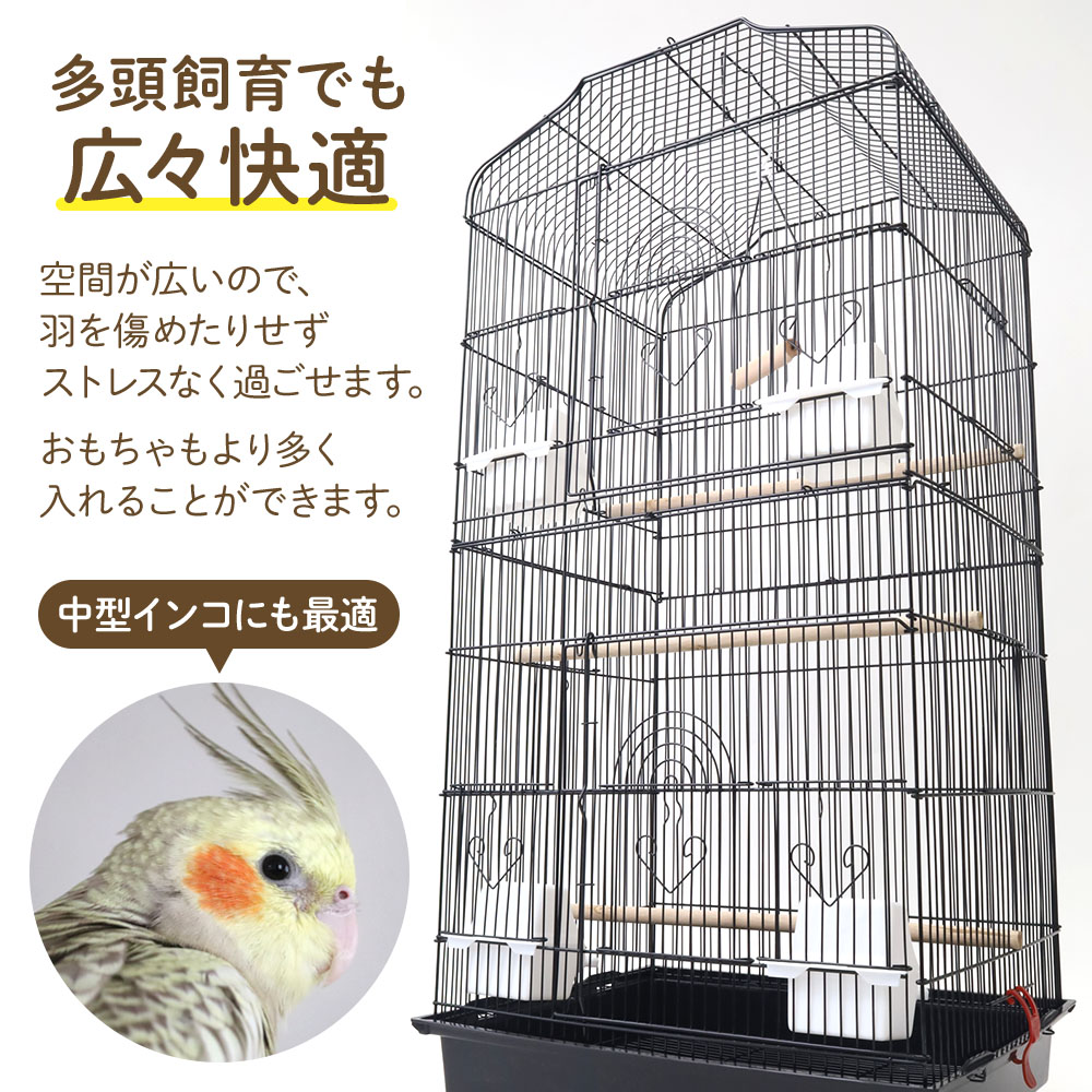 楽天市場】鳥かご 鳥籠 大型 おしゃれ 鳥 ケージ 多頭飼い 大きい 多頭