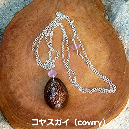 楽天市場】【share aloha】 シェルネックレス・ペンダント （貝殻