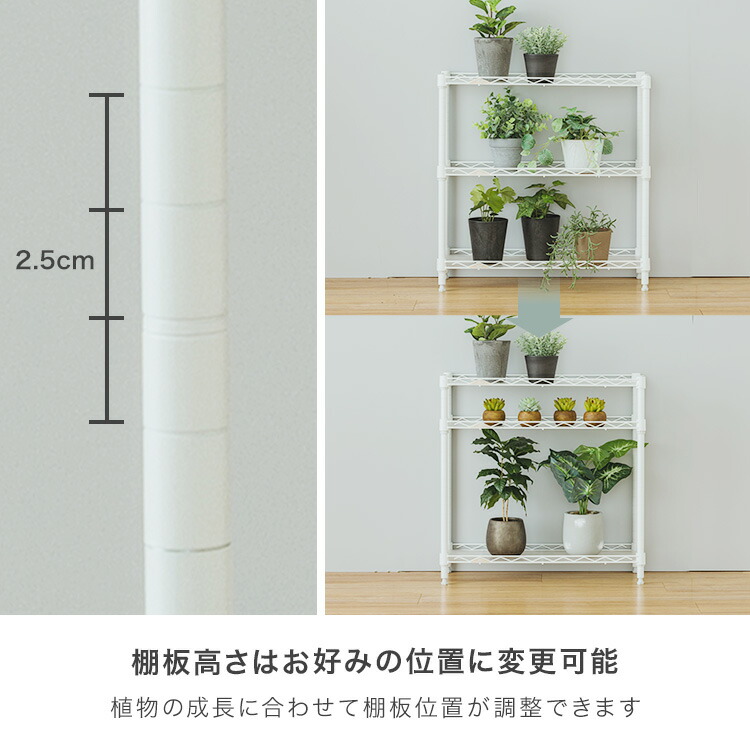 楽天市場】サイズが選べる 屋内 植物 収納 棚 ラック 防錆 防サビ 3段