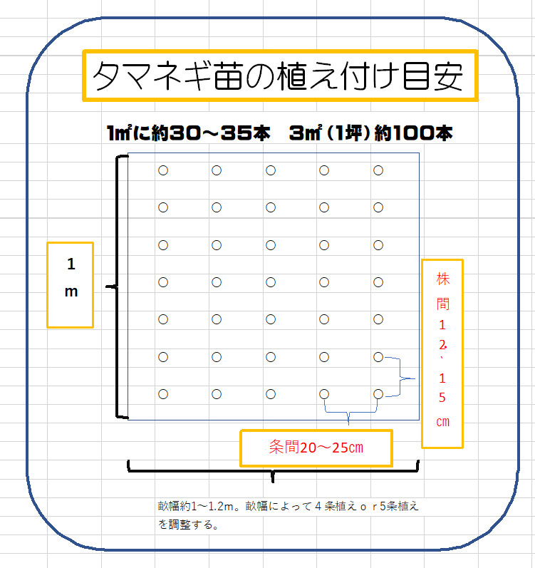 楽天市場】玉ねぎ苗 中生種 300本 品種名O・P黄、O・K黄、ターボなど
