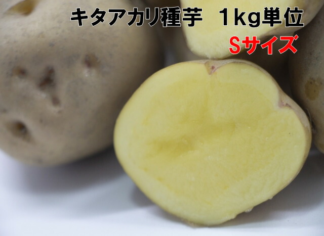楽天市場】種芋 キタアカリ Sサイズ 1キロ（約18コ）切らずに植え