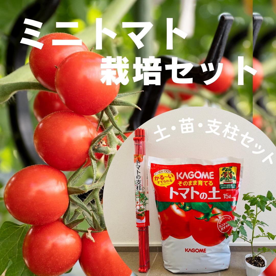 楽天市場】【ミニトマト栽培セット】 そのまま育てるトマトの土 ミニ