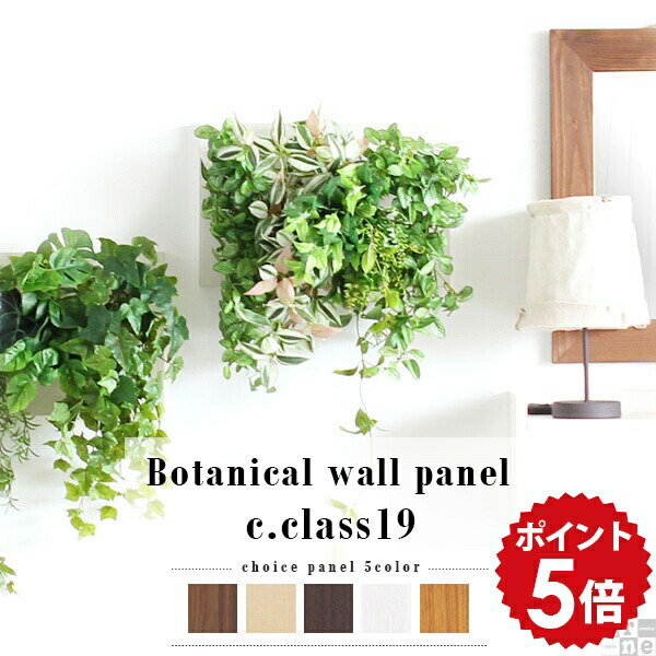 楽天市場】光触媒 観葉植物 壁掛け リアル フェイクグリーン リビング