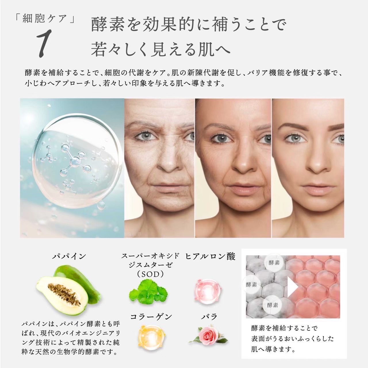 楽天市場】【お買い物マラソン10%OFFクーポン】 公式 Dr.Kozu