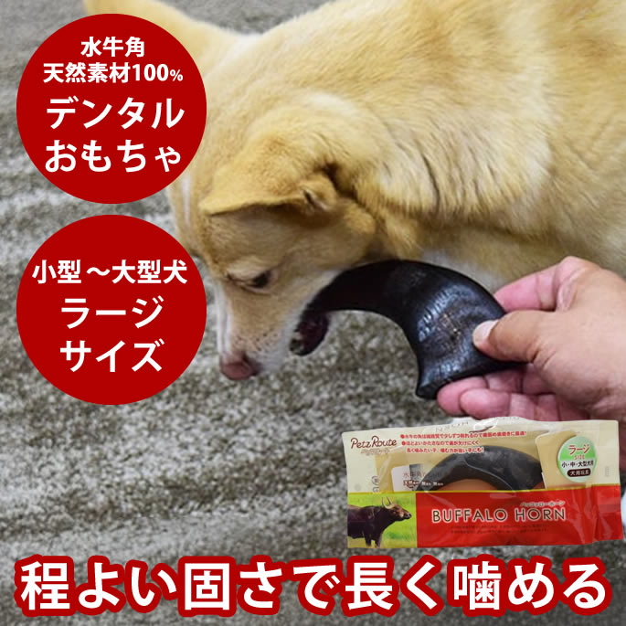 jp71l_on.jpg