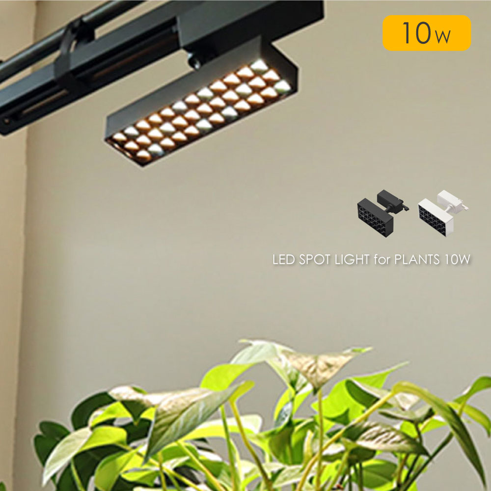 楽天市場】BRID LED SPOT LIGHT for PLANTS 10W 植物育成ライト