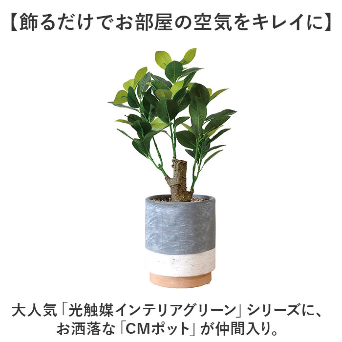 楽天市場】光触媒 フェイクグリーン 通販 観葉植物 人工観葉植物