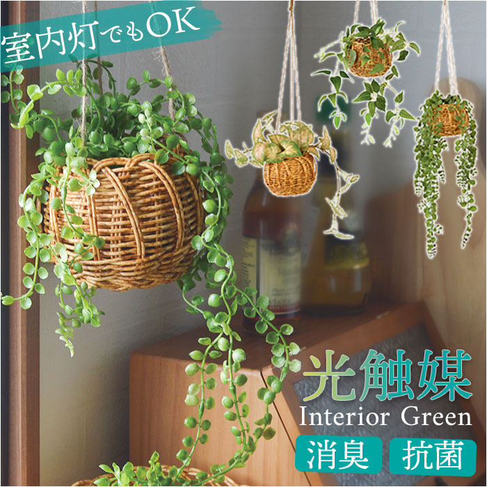 楽天市場】光触媒 フェイクグリーン 通販 観葉植物 人工観葉植物