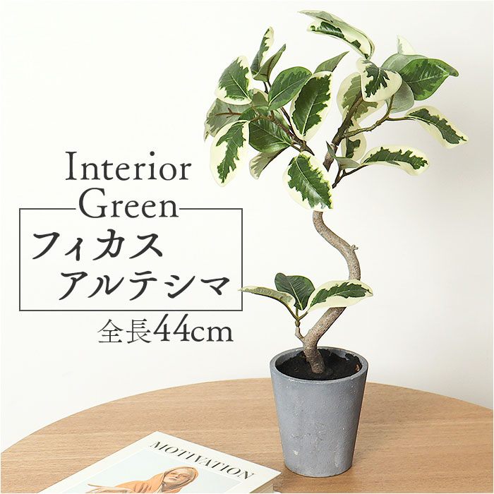 楽天市場】観葉植物 フェイク 大型 通販 フェイクグリーン フィカス