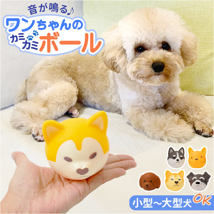 楽天市場】犬 おもちゃ 音が鳴る ボール 通販 フェイスボール 玩具