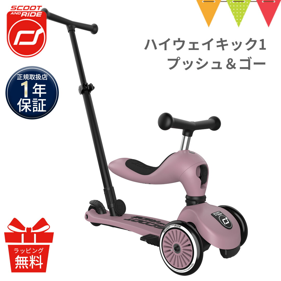 楽天市場】＼もれなく収納バッグプレゼント／ Scoot & Ride ( スクート