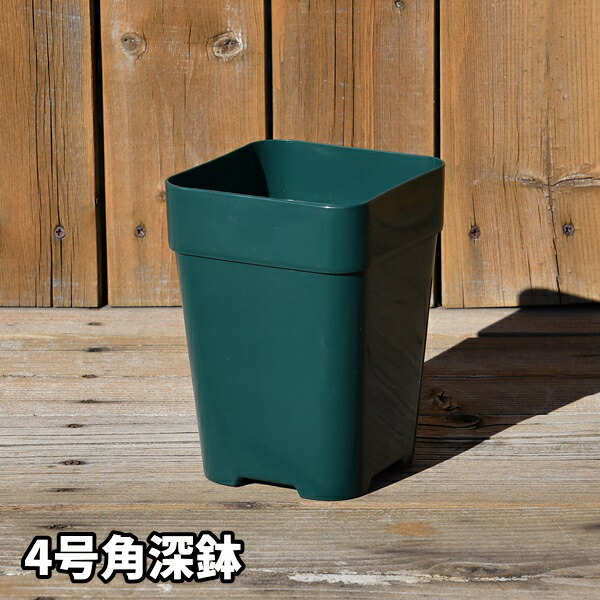 楽天市場】【4角】プレミアローズセレクション【4号角深鉢】ロサ