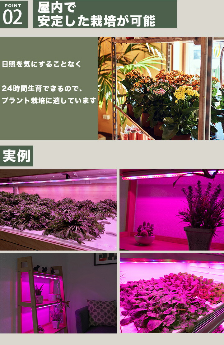 楽天市場】LED 植物育成 水耕栽培 LEDライト 観葉 植物 育成