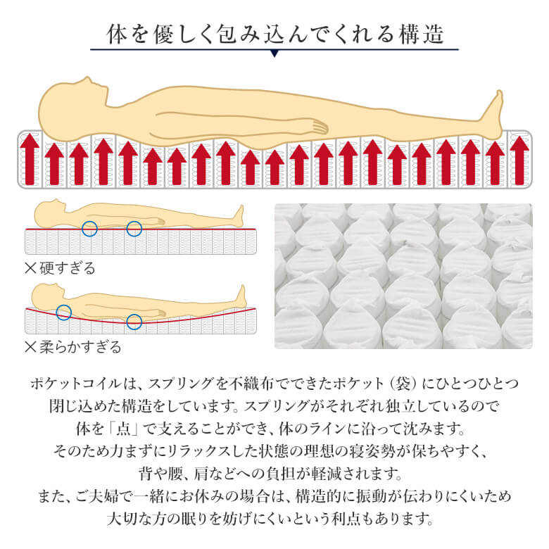 楽天市場】【2/25は最大20％OFFクーポン】【正規販売店】 サータ
