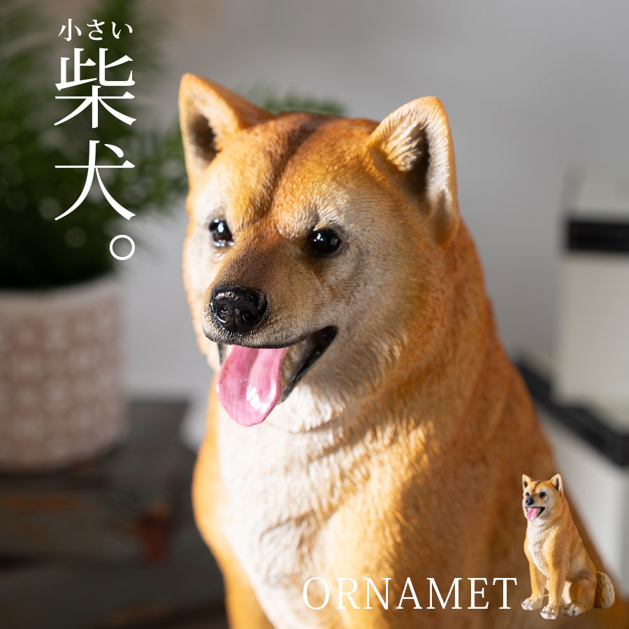 柴犬 置物 玄関」の人気商品一覧 | 安い商品を通販サイトから探す