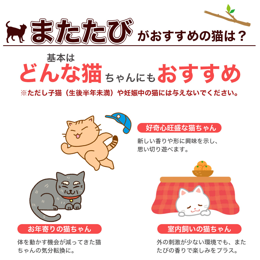 楽天市場】TVで話題のまたたび ランキング入賞 猫ちゃん大興奮 天然