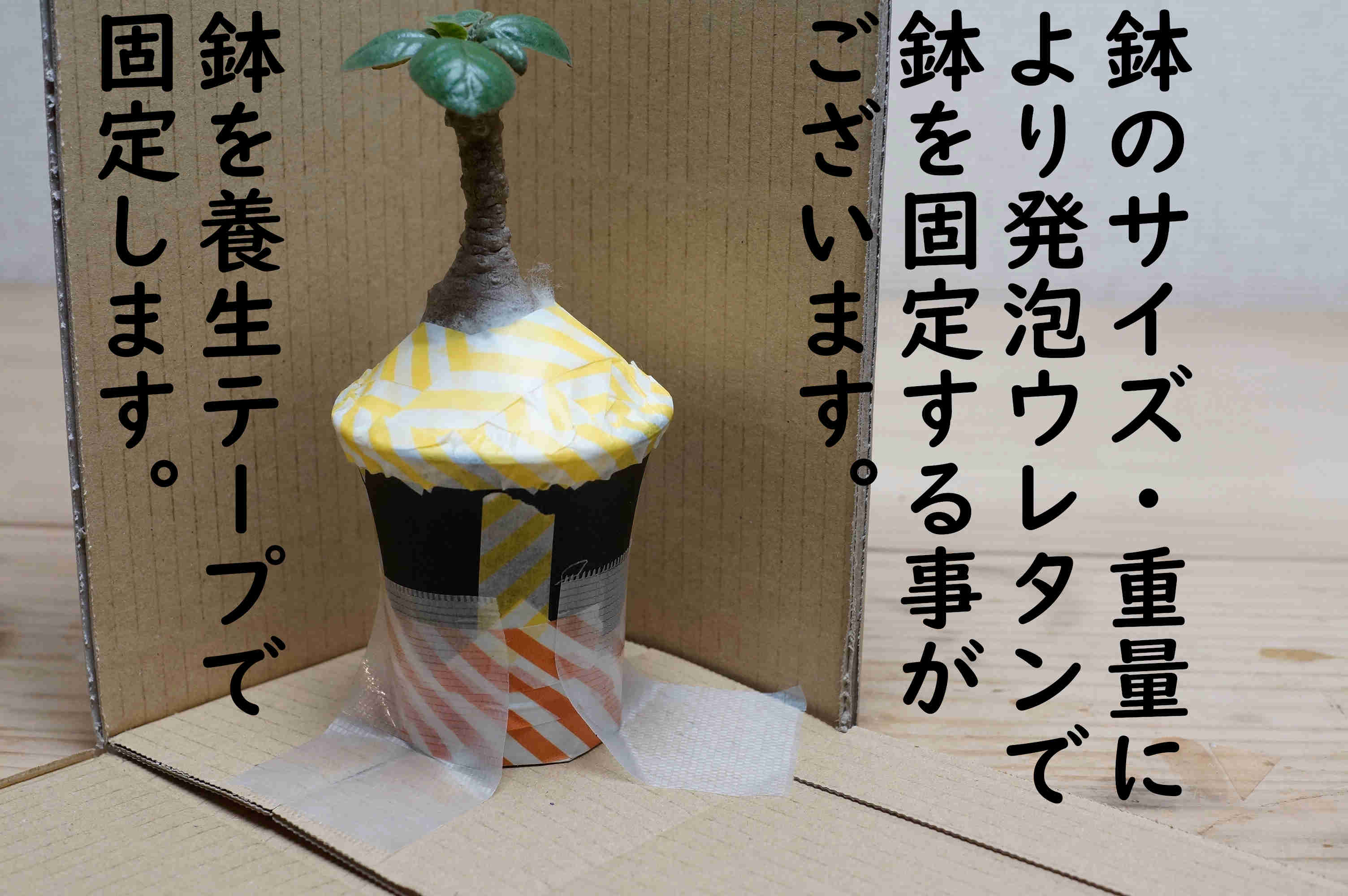 楽天市場】