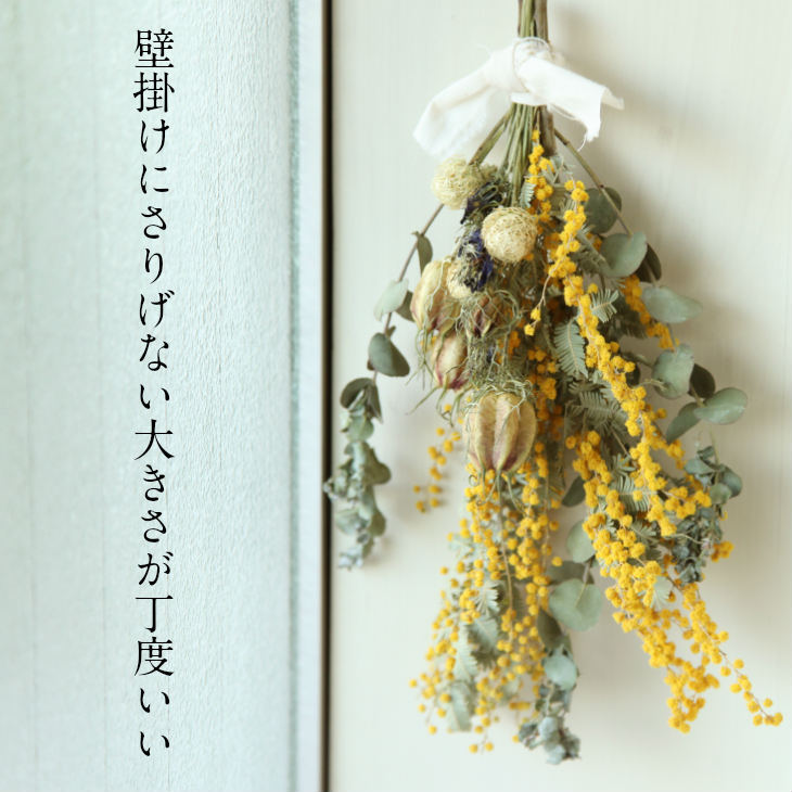 楽天市場】送料無料（一部地域のぞく）【flower gift】／人気のミモザ