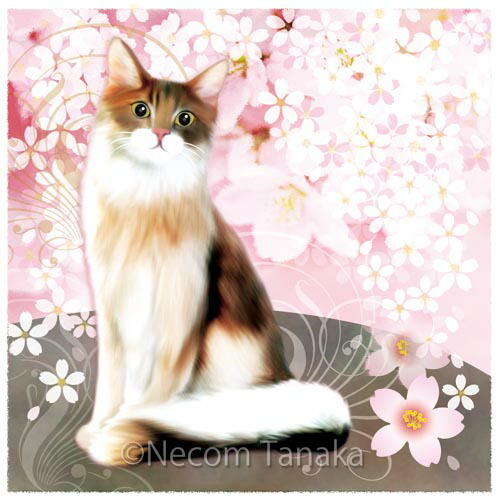 sakura.jpg