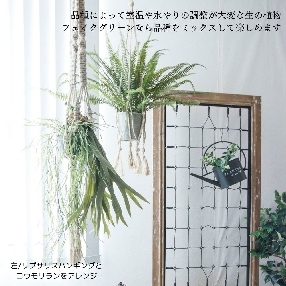 楽天市場】フェイクグリーン 吊り下げ ハンギング 造花 観葉植物