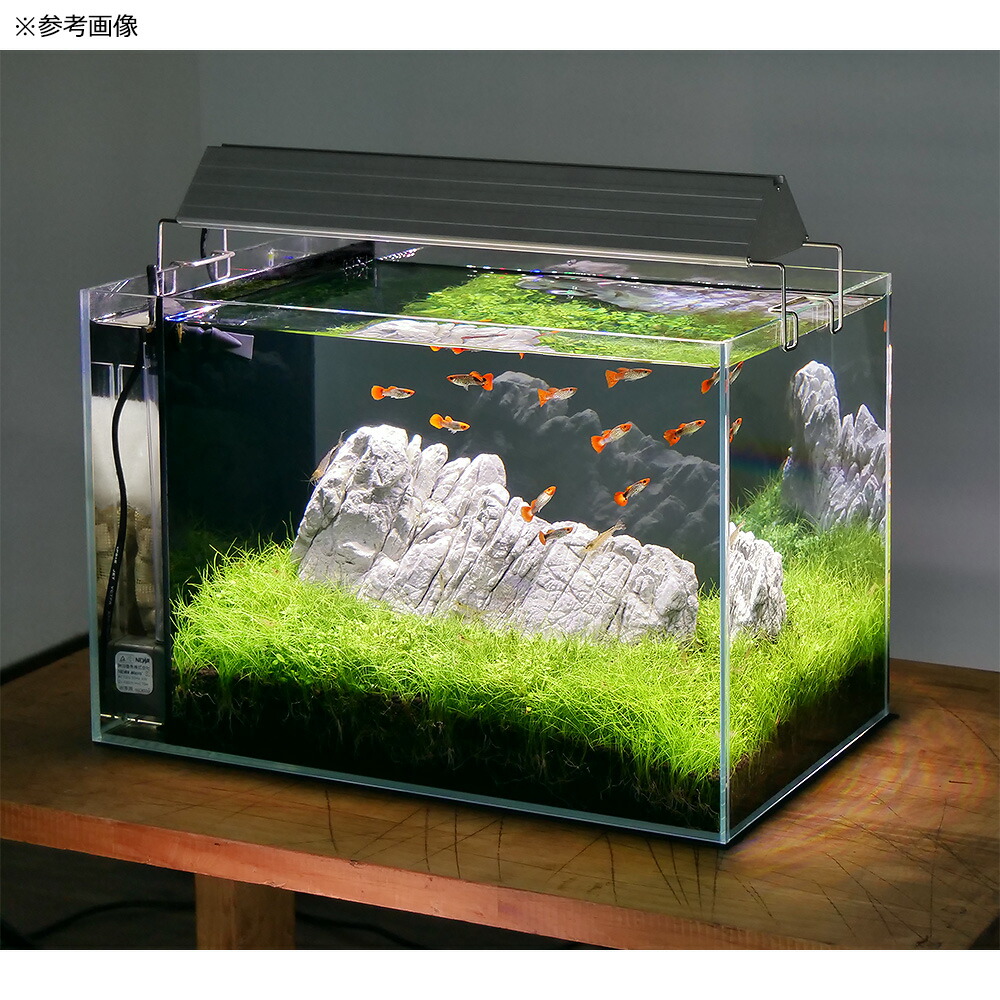 楽天市場】形状お任せ 白風石 サイズミックス 3kg 30cm水槽向け