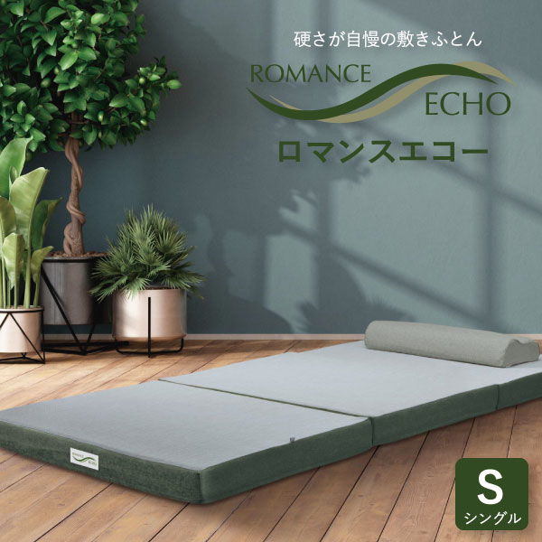 ロマンス小杉 ロマンスエコー シングル (マットレス) 価格比較 - 価格.com