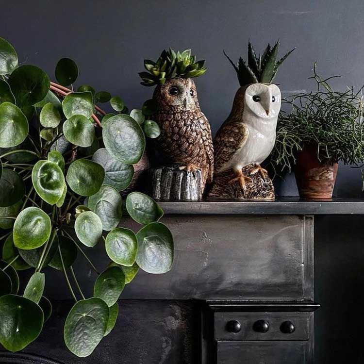 楽天市場】【在庫限り】 Quail Ceramics クエールセラミックス 英国
