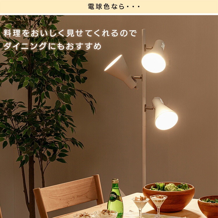 楽天市場】[P5倍☆4日20:00-11日9:59]【選べるLED電球セット