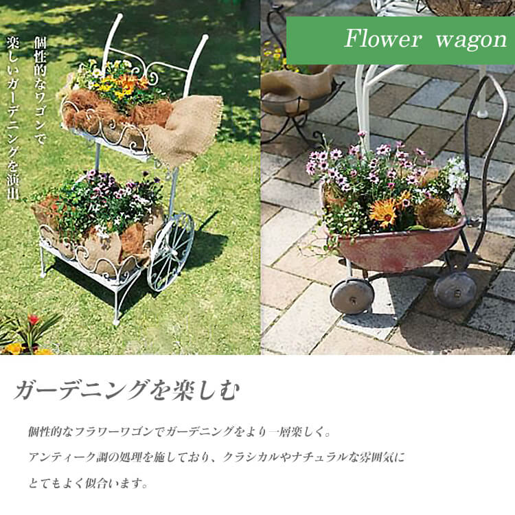 楽天市場】マラソン期間店内商品ポイント最大20倍【送料無料】フラワー