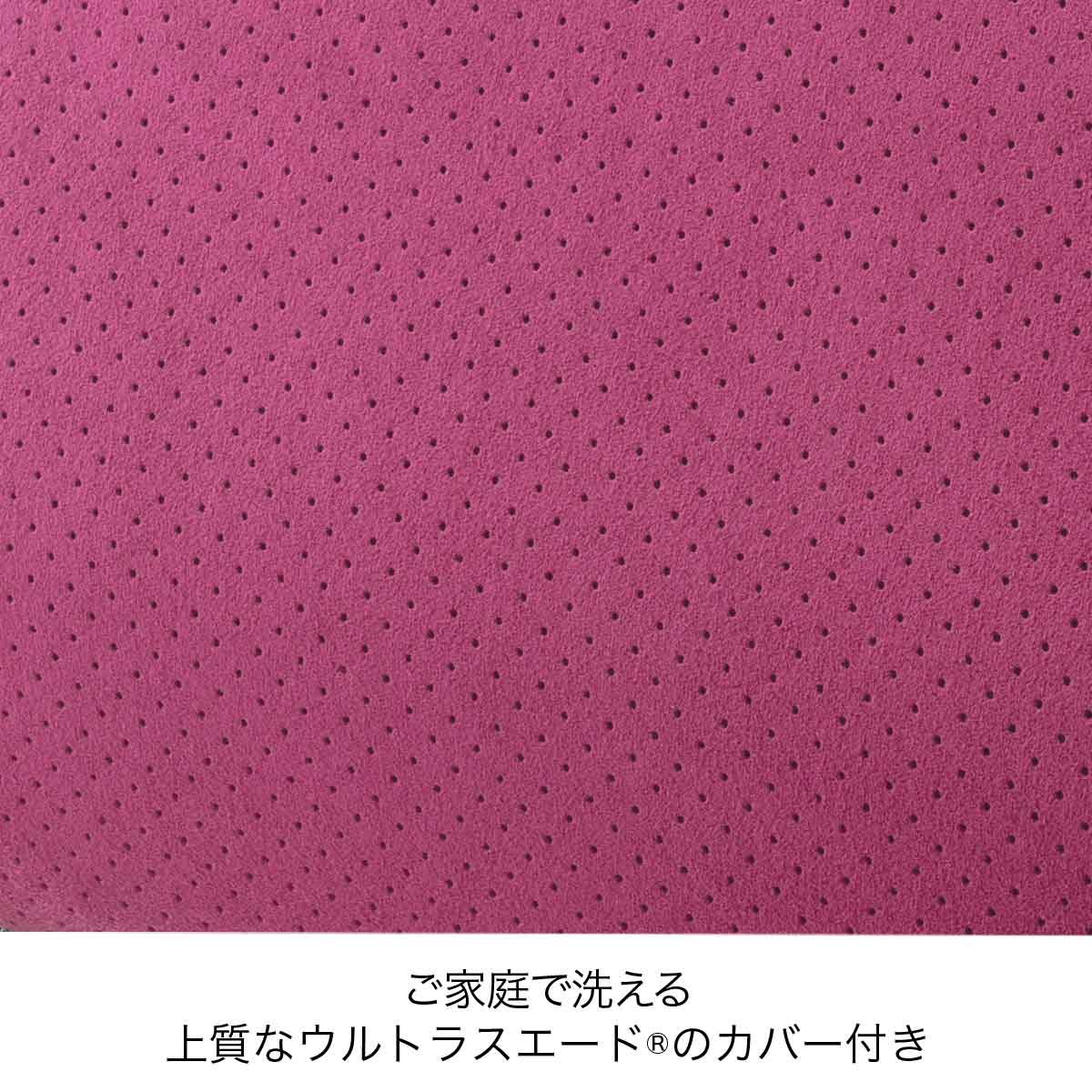楽天市場】＼腰痛対策の決定版／ エクスジェル EXGEL HUD34 ハグ