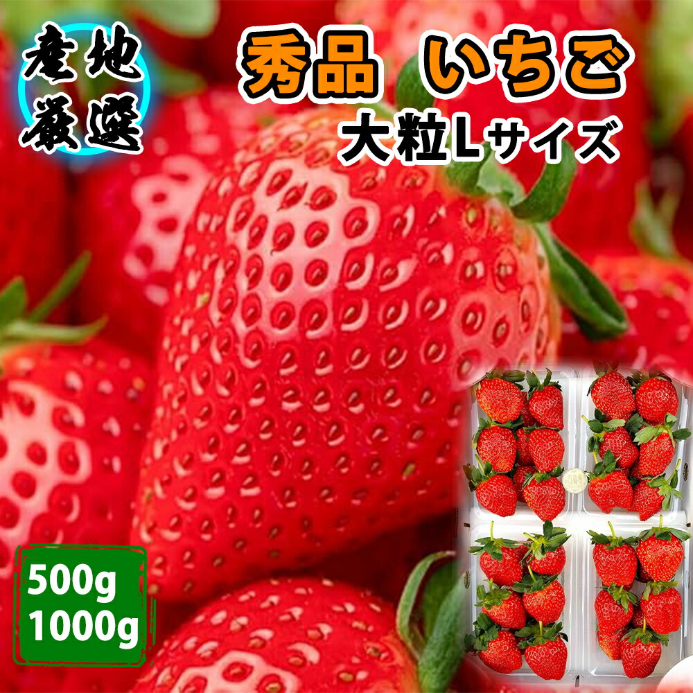 いちご やよいひめ」の人気商品一覧 | 安い商品を通販サイトから探す