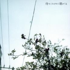 楽天市場】クリープハイプ 待ちくたびれて朝がくるの通販