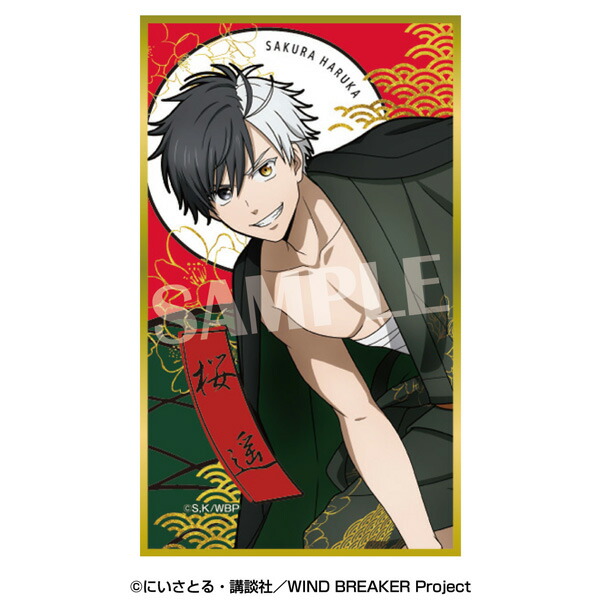 楽天市場】【2024年8月発売予約商品！】TVアニメ『WIND BREAKER』華絵