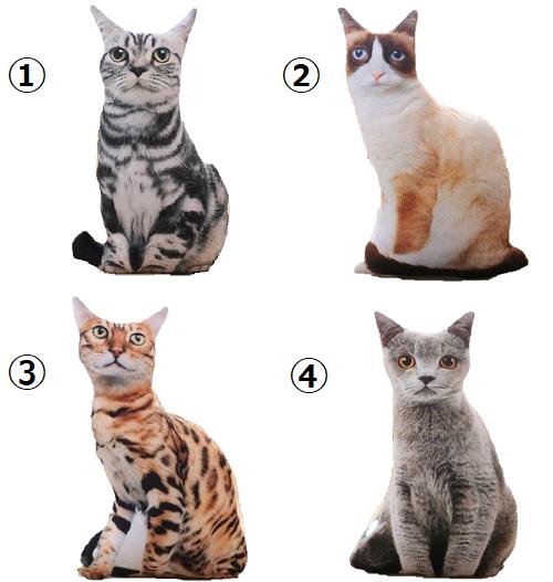 楽天市場】3D 猫ちゃんのぬいぐるみ クッション 本格 リアル 疑似